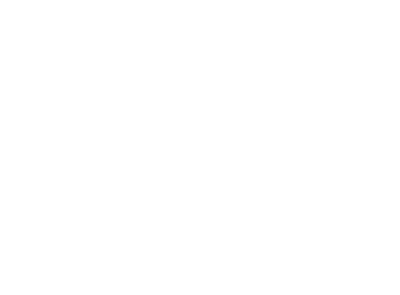 Logo Moni Star