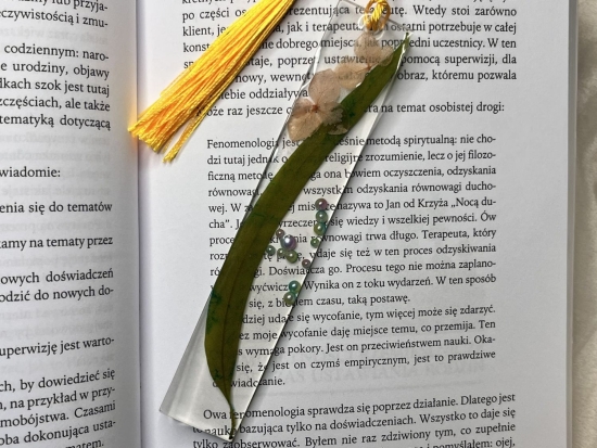Zakładka do książki z hortensjami na zielonym liściu