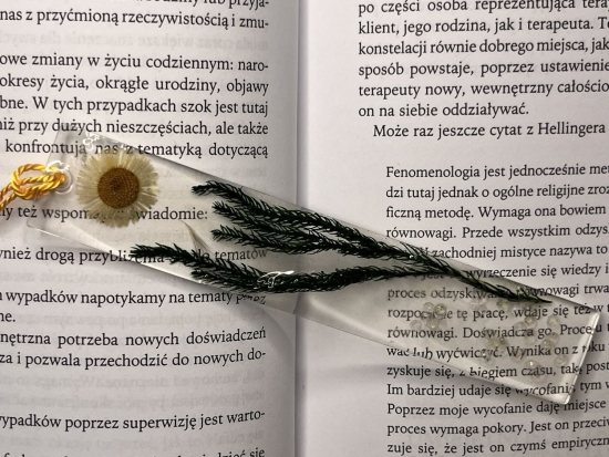 Zakładka do książki /margaretka w trawie/